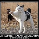 ���� ������, ��������������, 64 ���� - ��������� 15 ������� 2012 � ������ �������