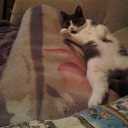  , -, 61  -  12  2012   