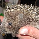 ���� ������, ������ - ��������� 3 ������ 2011 � ������ �������