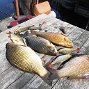 ...������� ������)))