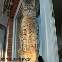 ���� Red, ������� - ��������� 16 ������ 2011 � ������ ���������������� :)�