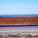 ���� Natali, ������� - ��������� 24 ���� 2010 � ������ ��������������)�