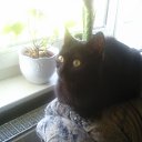 ���� Natalya, ��������, 56 ��� - ��������� 11 ������� 2011 � ������ ����� ����, ���� � &amp;�