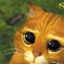 ���� ����, �����, 61 ��� - ��������� 11 ������ 2011 � ������ ���� ����������