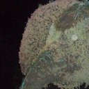 ���� �������, ����� - ��������� 10 �������� 2012 � ������ ���� ����������