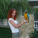 ���� ��������, ������, 38 ��� - ��������� 26 ������� 2008