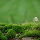 ���� Elena, ������ - ��������� 6 �������� 2011