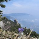 ���� �����, ����������� - ��������� 28 ����� 2011 � ������ ���� ������������