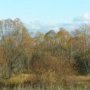 ����������� ���� �� ������� �������� �������