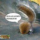 ���� ������, ������, 35 ��� - ��������� 13 ������� 2012 � ������ ���� ����������
