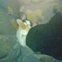 ���� Hell Girl, ���������, 31 ��� - ��������� 22 ������� 2010 � ������ ��������� ���