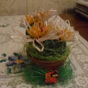 ���� �����������, �����-���������, 52 ���� - ��������� 6 ����� 2011 � ������ ���� ������ ��� ������� ����