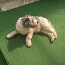 ���� ���, ������ - ��������� 12 ������ 2010 � ������ �������