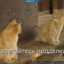 ���� ���������, ����������, 48 ��� - ��������� 3 ������� 2010 � ������ ���������