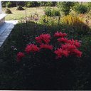 ���� ������, ������, 76 ��� - ��������� 6 ������ 2010