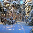 ���� �����, ����, 48 ��� - ��������� 3 ������ 2013 � ������ ���������� �����