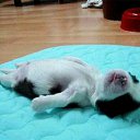 ���� ----*�*�*�*�- �*�*�*�*�*�*�*�*----, ����������� - ��������� 2 �������� 2011 � ������ ��������
