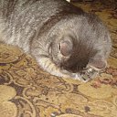 ���� ����, ������ ��������, 35 ��� - ��������� 21 ������� 2010