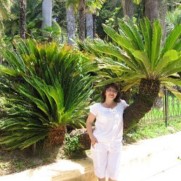 ����, ���������, 50 ���