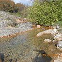  Alex, , 70  -  26  2013    