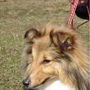 ���� ����, ������, 58 ��� - ��������� 24 ������� 2011 � ������ ���� ����������