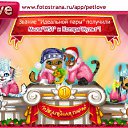 ���� ������, ������, 25 ��� - ��������� 3 ������� 2010 � ������ �PetLove�