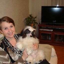 ������, ������, 70 ���