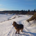 ����� �� ������� ���� ����������