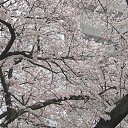 ���� [Pelmen`], ����������, 26 ��� - ��������� 16 ������� 2012 � ������ �������