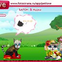 ���� �������, ������, 77 ��� - ��������� 20 ������ 2010 � ������ �PetLove�