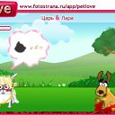  , , 50  -  21  2010   PetLove