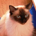 ���� ����, ���������, 70 ��� - ��������� 20 ������� 2012 � ������ ������.�