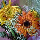  Irixa, , 57  -  30  2009   