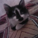   ,  -  26  2013        =)