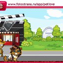 ���� ����, ������, 45 ��� - ��������� 13 �������� 2010 � ������ �PetLove�