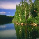  ,  , 33  -  28  2010   