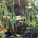 ���� Natali, ������� - ��������� 28 ���� 2010 � ������ ��������������)�