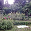 ���� ������, ����, 44 ���� - ��������� 16 �������� 2011 � ������ �����-������� ������