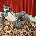 ���� ����������, �����, 24 ���� - ��������� 25 ������ 2011 � ������ ����������� �����