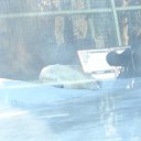 ���� ����, ������, 42 ���� - ��������� 10 ������� 2010 � ������ ���� �������