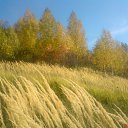 ���� ����������, ������, 58 ��� - ��������� 20 ������ 2013 � ������ ���� ����������