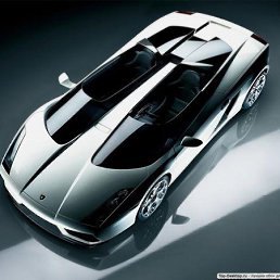 ��������, ���������, 41 ���