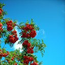 ������... �� ������� ���� ����������