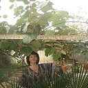 ���� ��������, ������, 83 ���� - ��������� 3 ������� 2012