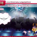  ,  -  13  2011   PetLove
