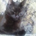 ���� Natalya, ��������, 56 ��� - ��������� 11 ������� 2011 � ������ ����� ����, ���� � &amp;�