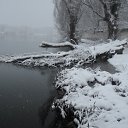 ���� ���������, �����������, 43 ���� - ��������� 29 ������� 2012 � ������ �_.-;(*,!,*);-,_�