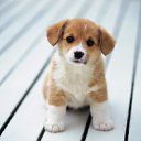 ���� Vados, ������, 36 ��� - ��������� 29 ������ 2012