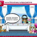 ���� Jeka, �����-���������, 38 ��� - ��������� 2 ������� 2010 � ������ �PetLove�