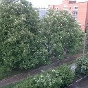 �� ������. ��� �� ���� �� ������� ���� ����������